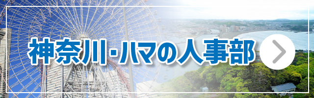 八王子市 立川市 武蔵野市 三鷹市 青梅市 府中市 昭島市 調布市 町田市 小金井市 小平市 日野市 東村山市 国分寺市 国立市 福生市 狛江市 東大和市 清瀬市 東久留米市 武蔵村山市 多摩市 稲城市 羽村市 あきる野市 西東京市